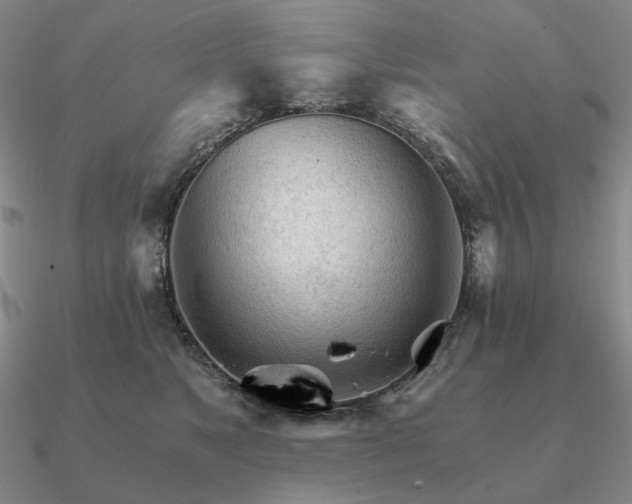 X0000090920517200708061545