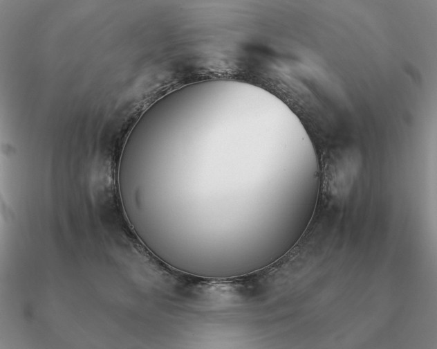 X0000090920518200708061545