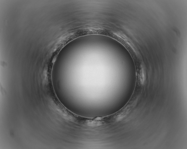 X0000090920520200708061545