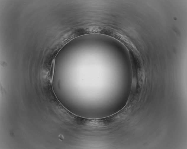 X0000090920521200708061545