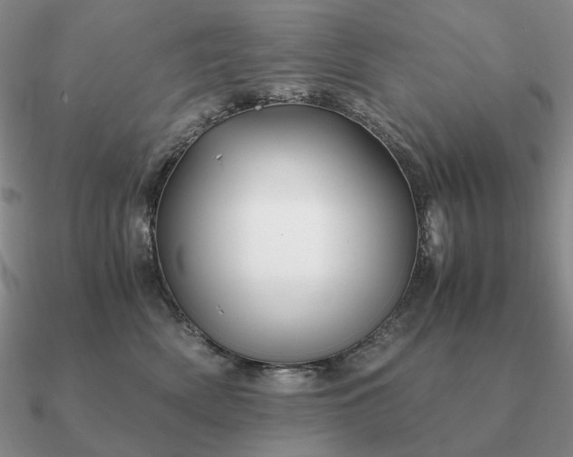 X0000090920522200708061545