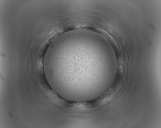 X0000090920523200708061545