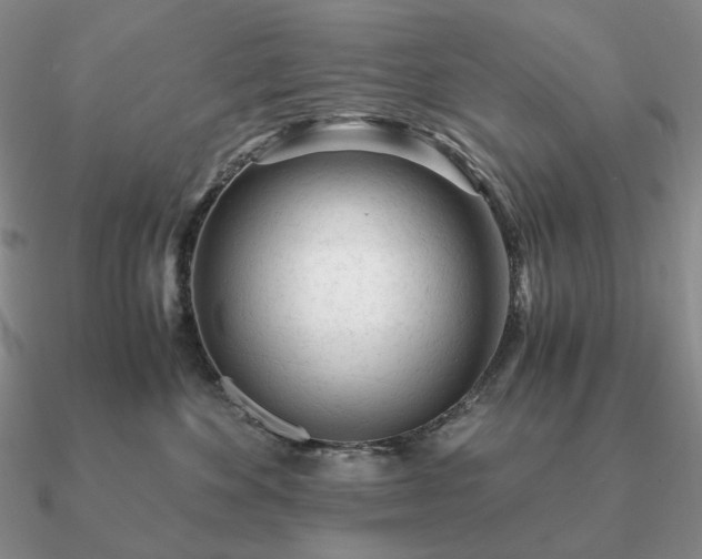 X0000090920524200708061545