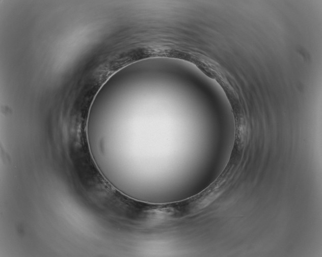 X0000090920525200708061545