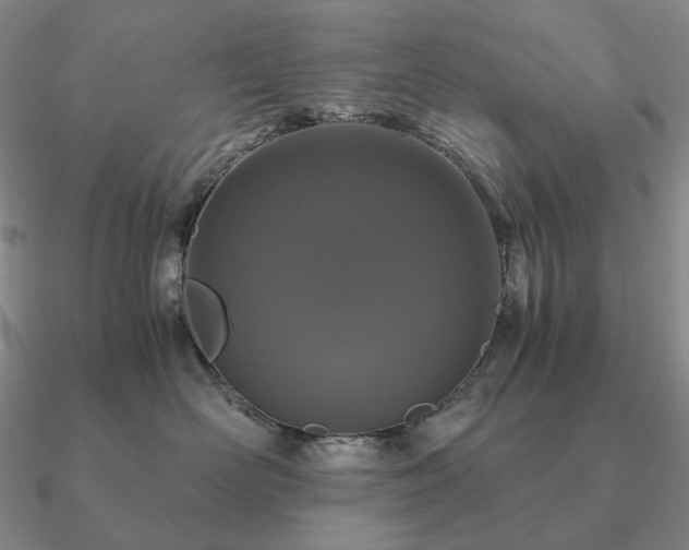 X0000090920526200708061545