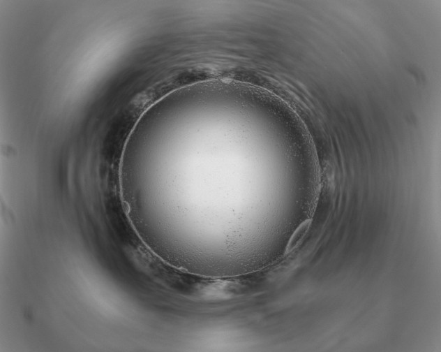 X0000090920527200708061545