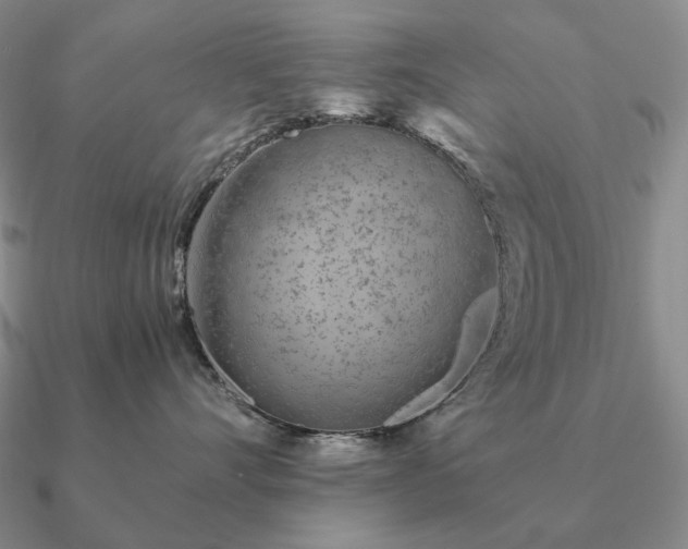 X0000090920528200708061545