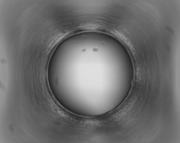 X0000090920529200708061544