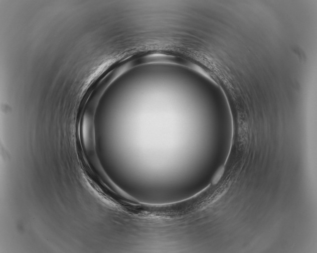 X0000090920530200708061545