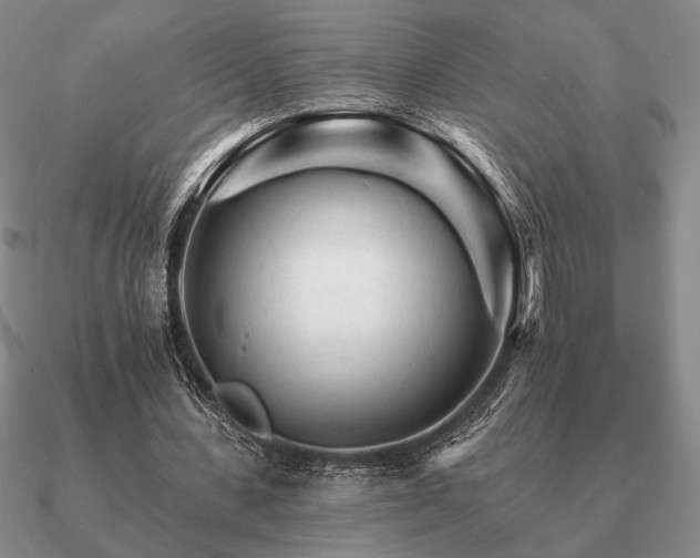 X0000090920531200708061545