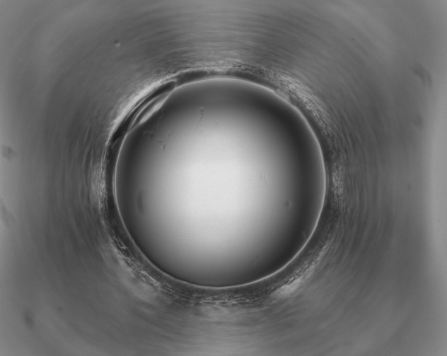 X0000090920532200708061545