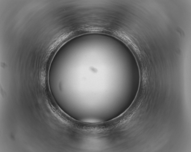 X0000090920533200708061545