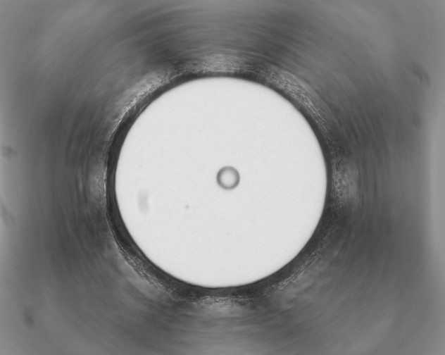 X0000090920534200708061545