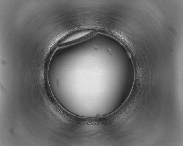 X0000090920535200708061545