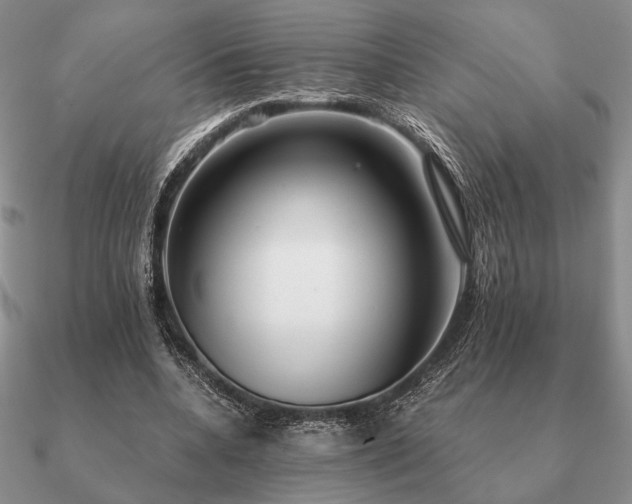 X0000090920536200708061545