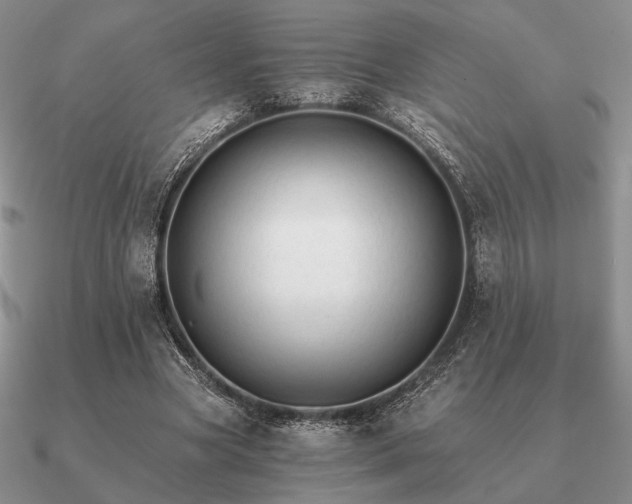 X0000090920537200708061545