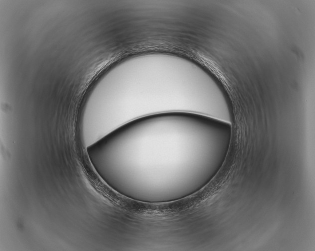 X0000090920538200708061545