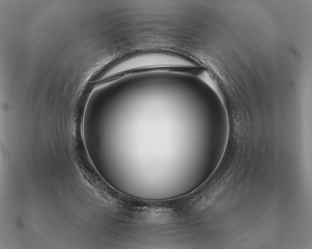 X0000090920539200708061545