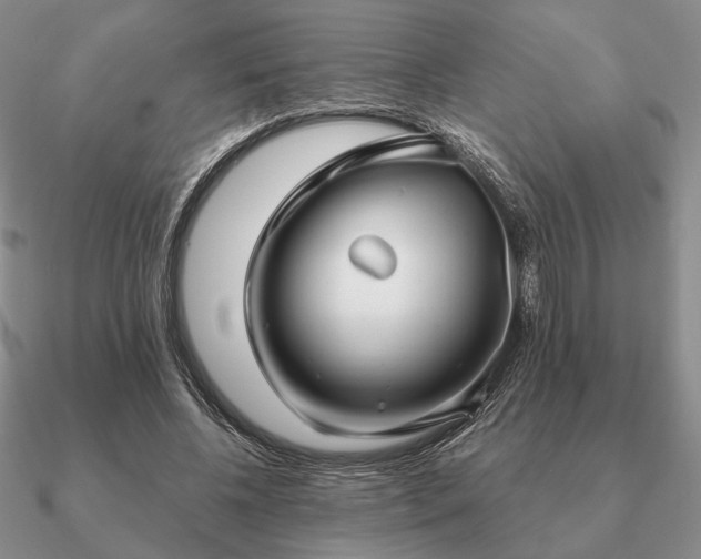 X0000090920540200708061545