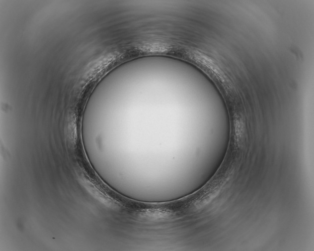 X0000090920541200708061545