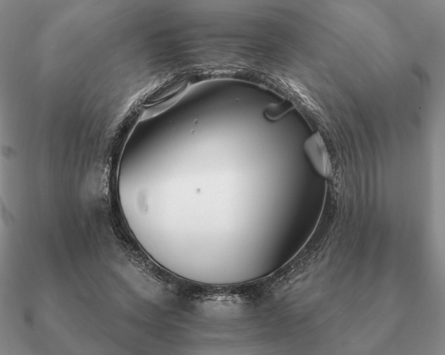 X0000090920543200708061545