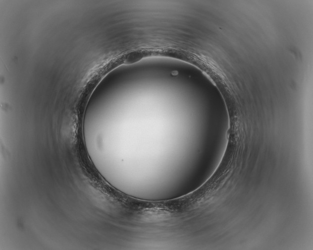 X0000090920544200708061545