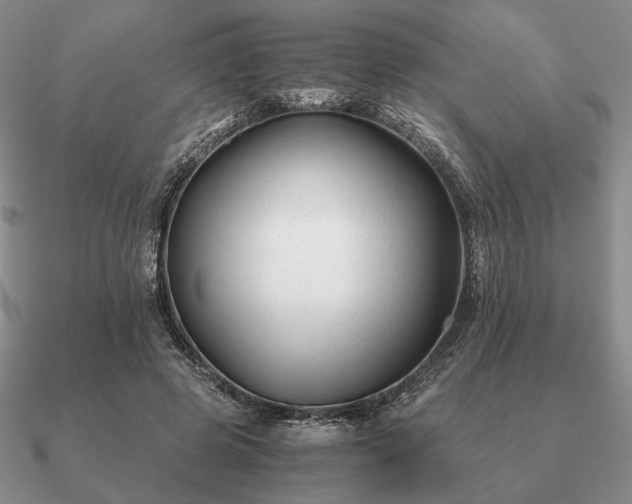 X0000090920545200708061545