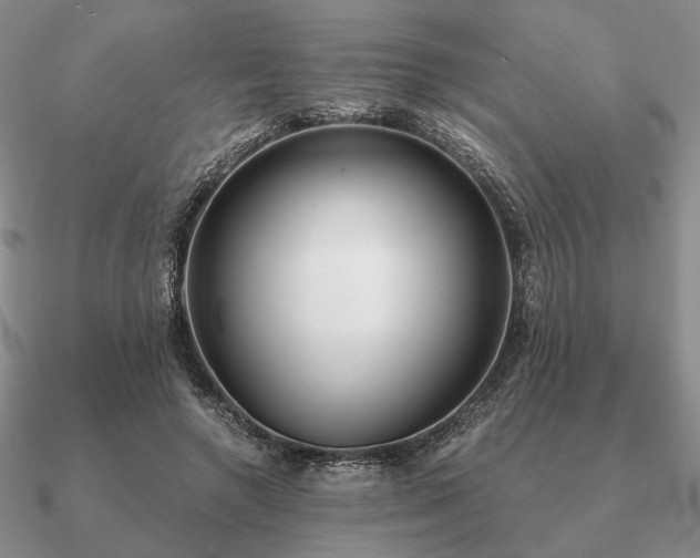 X0000090920546200708061545