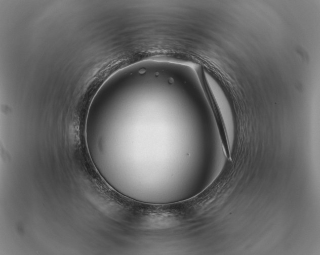 X0000090920547200708061545