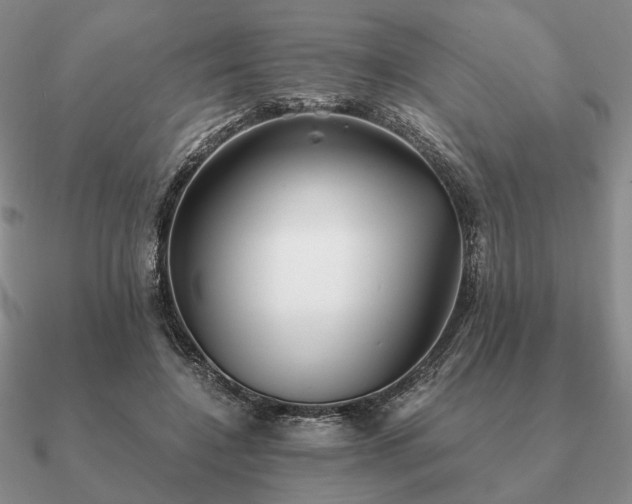 X0000090920548200708061545