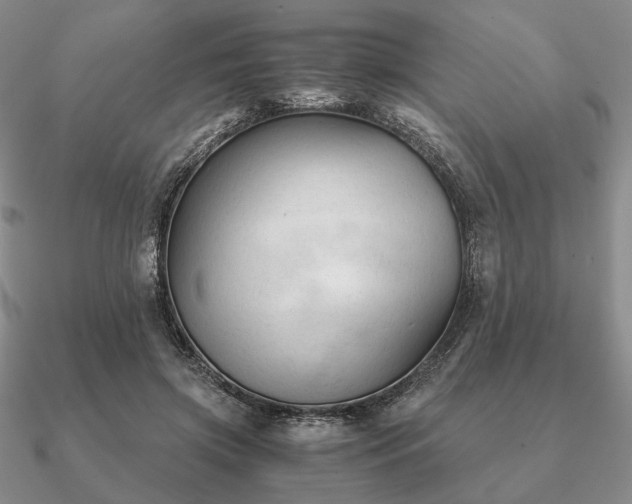 X0000090920549200708061545