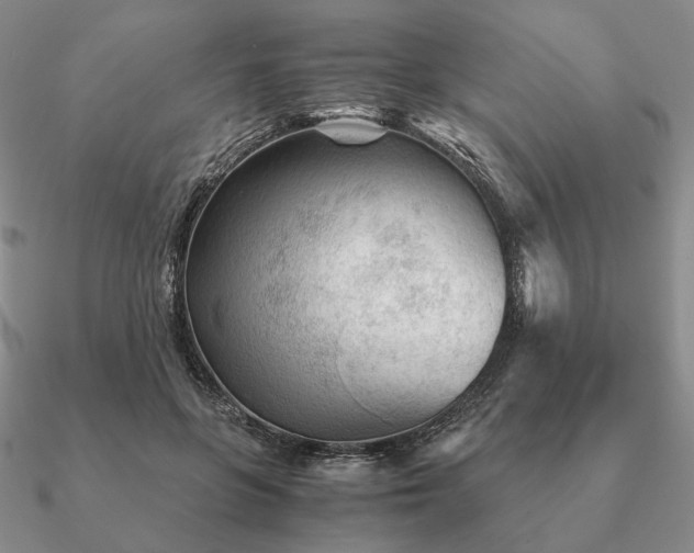 X0000090920551200708061545