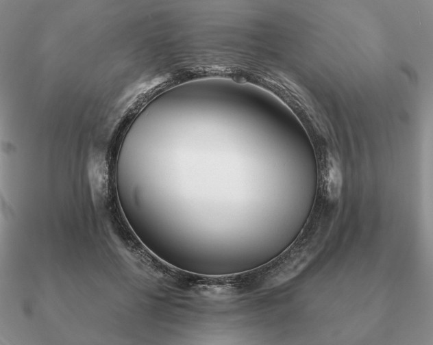 X0000090920552200708061545