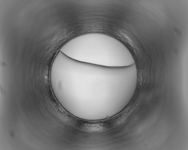 X0000090920553200708061545