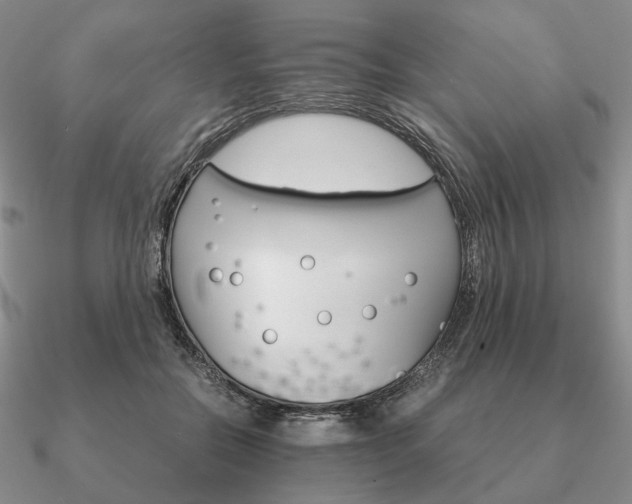 X0000090920554200708061545