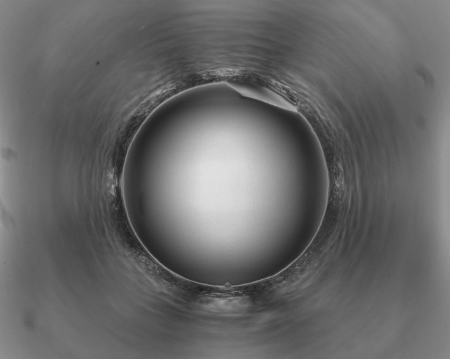 X0000090920555200708061545