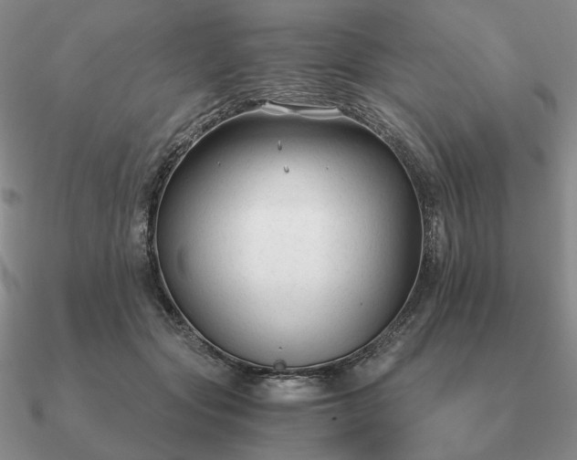 X0000090920557200708061545