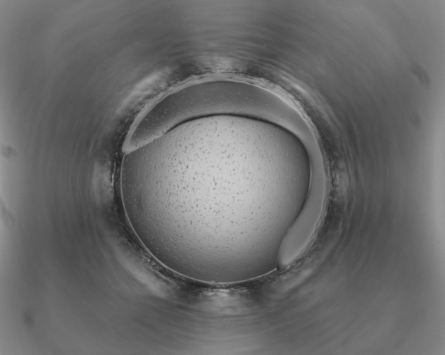 X0000090920558200708061545