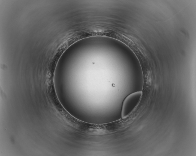 X0000090920559200708061545