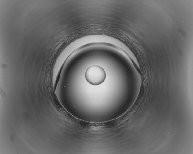 X0000090920560200708061545