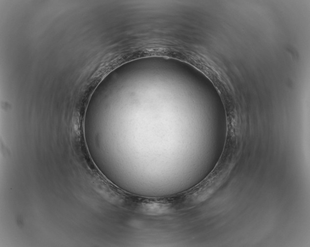 X0000090920561200708061545