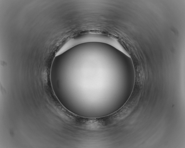 X0000090920562200708061545