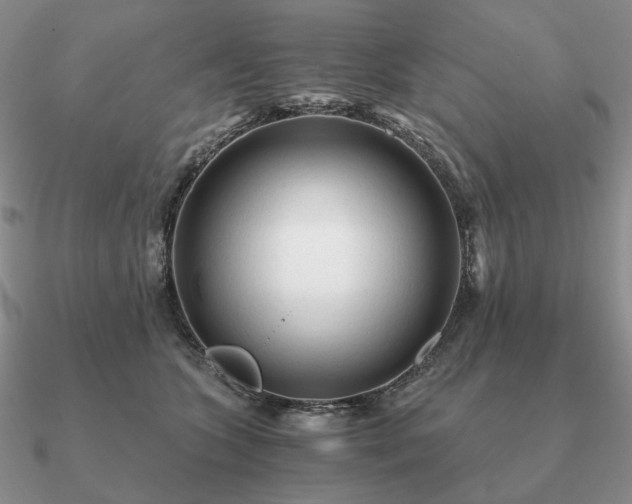 X0000090920563200708061545