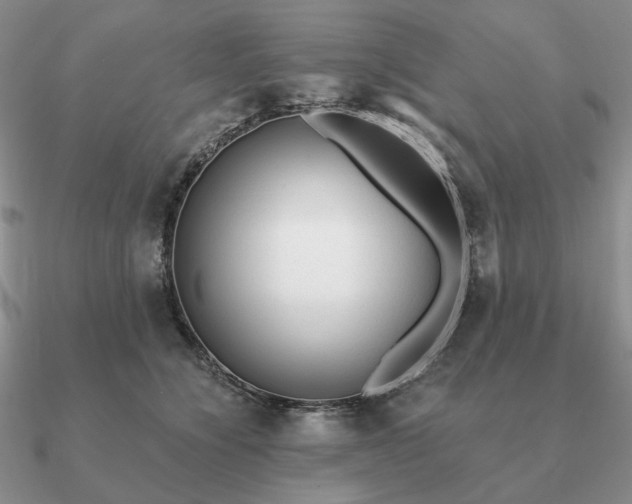 X0000090920564200708061545