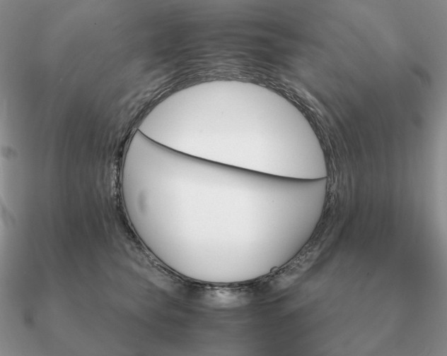 X0000090920565200708061545