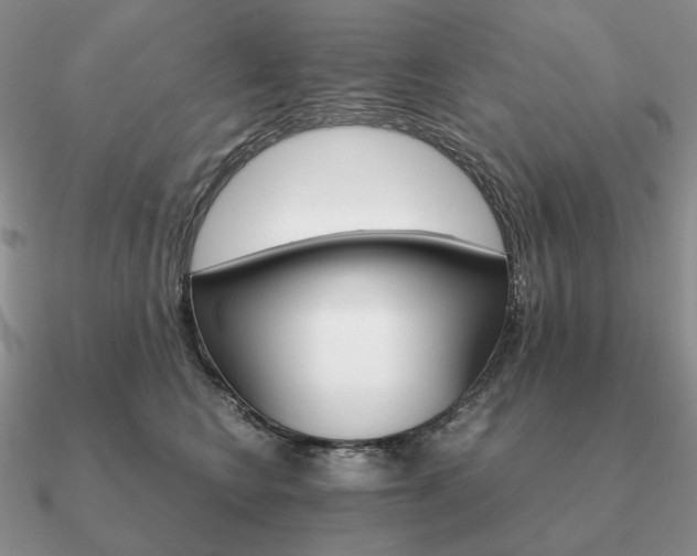 X0000090920566200708061545