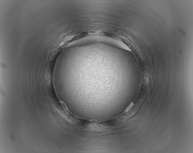 X0000090920568200708061545