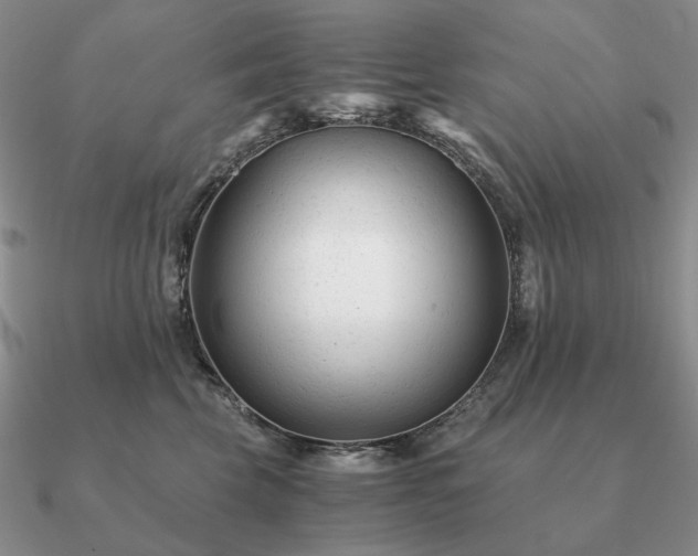 X0000090920569200708061545