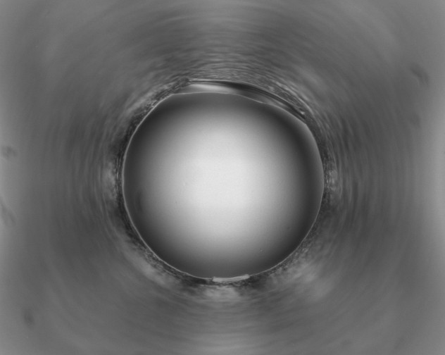 X0000090920572200708061545