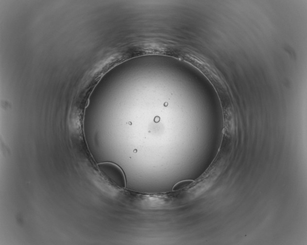 X0000090920573200708061545